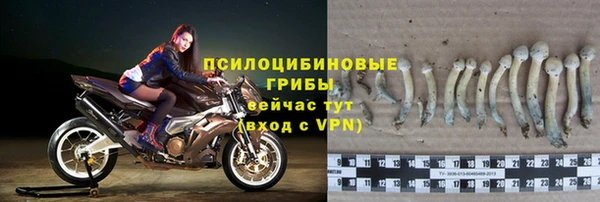 прущая мука Беломорск