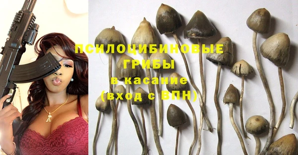 кокаин перу Белокуриха