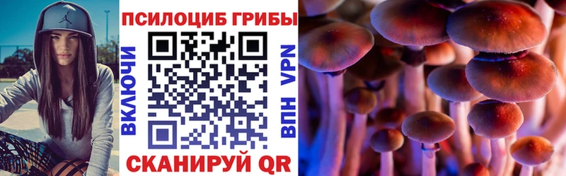 как найти закладки Шарыпово Псилоцибиновые грибы Psilocybe